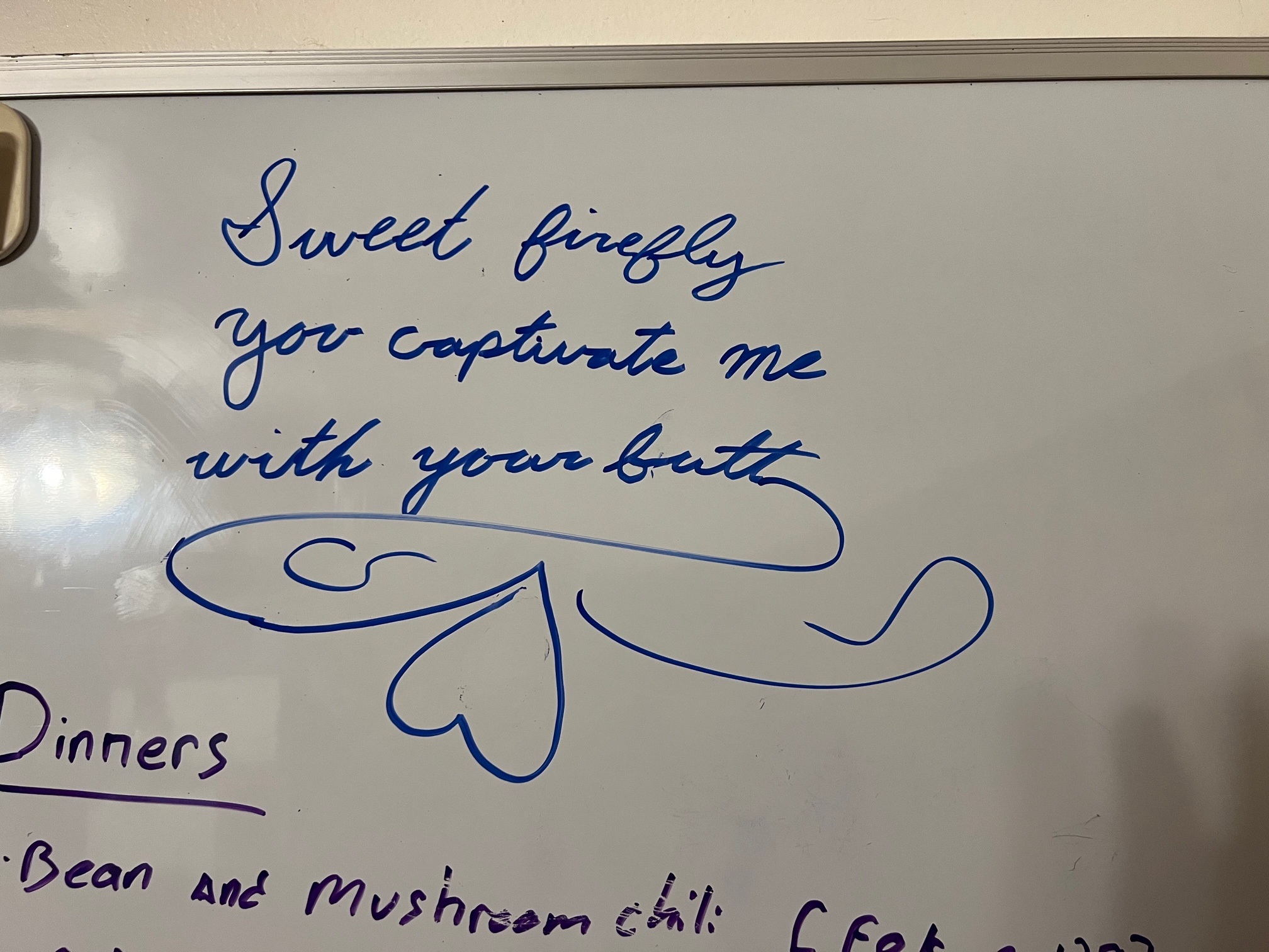 Photo of the haiku Sweet Firefly written on a kitchen whiteboard